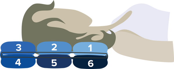 Back sleeper with chamber configuration